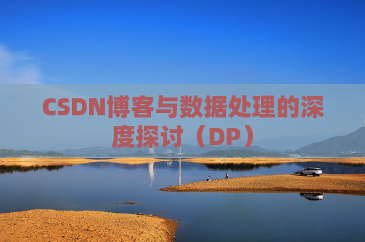 CSDN博客与数据处理的深度探讨（DP）